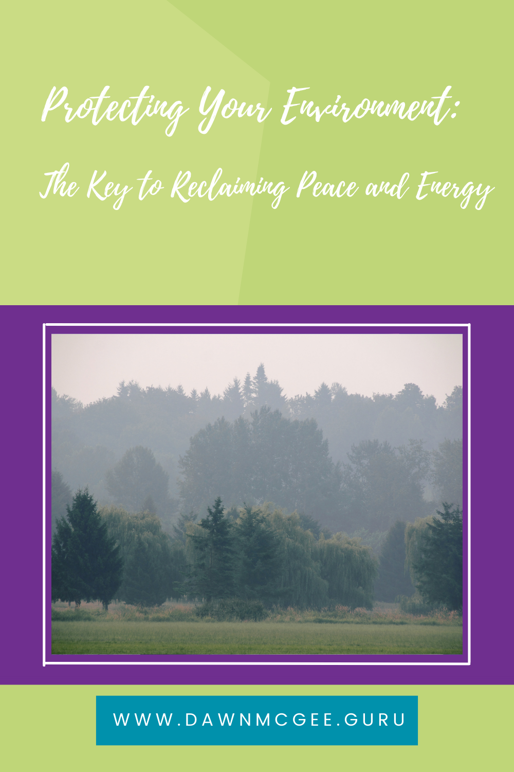 Protecting Your Environment: The Key to Reclaiming Peace and Energy