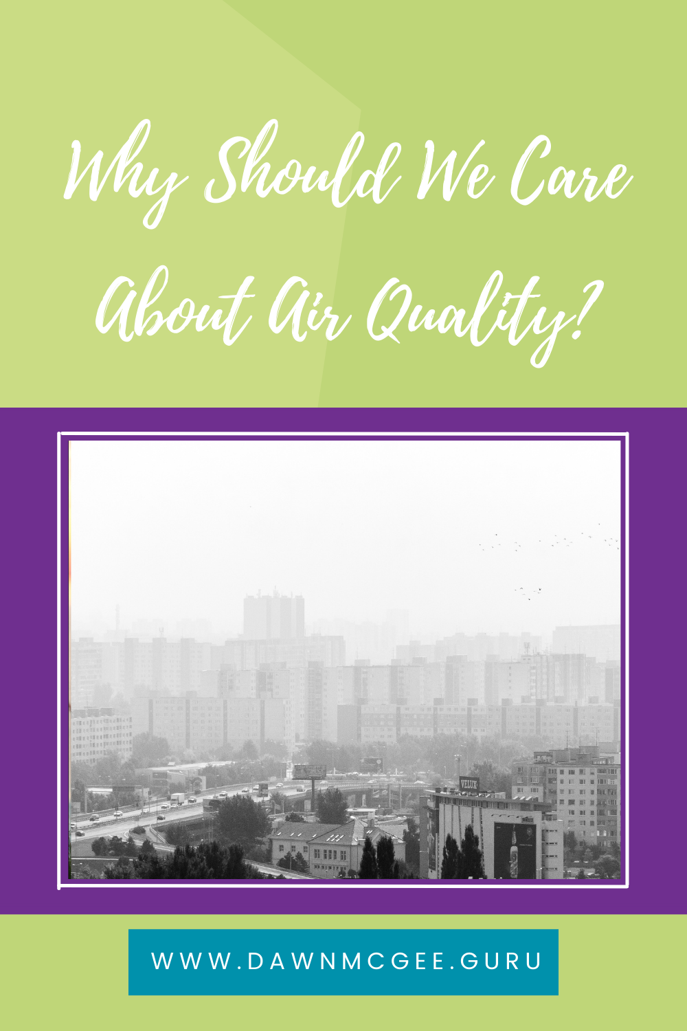 Why Should We Care About Air Quality?